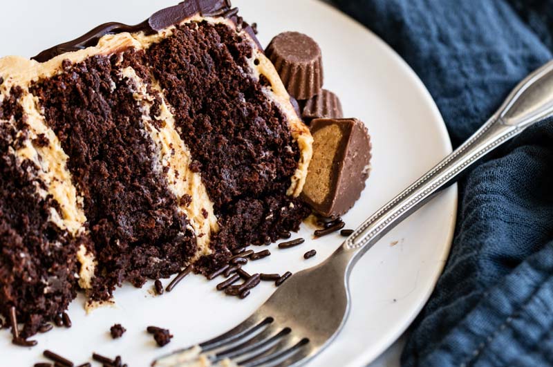similarities between brownies and chocolate cake