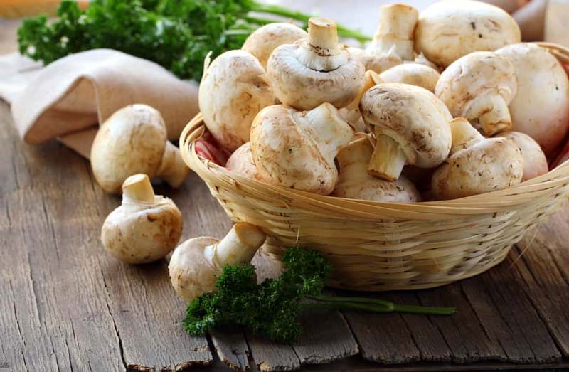 why should mushrooms be considered to be vegetables