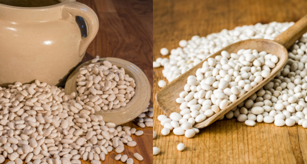 Great Northern Beans vs Navy Beans - Side by Side