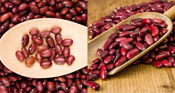 Red Beans vs Kidney Beans - side by side