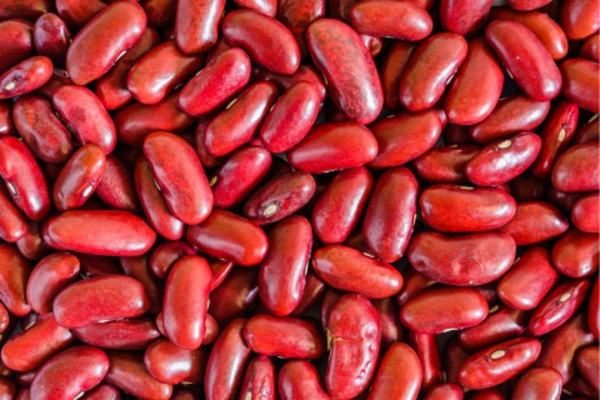 Close-up of vibrant kidney beans, showcasing their smooth surface and distinctive shape, commonly used in various dishes worldwide.