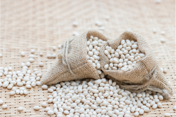 Navy beans in two small bags