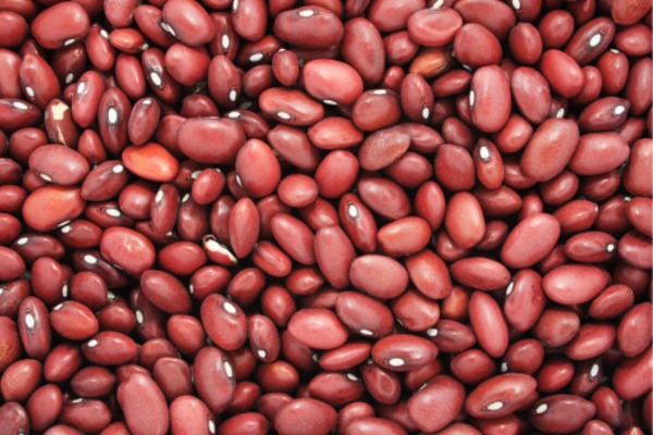 Close-up image of vibrant red beans, showcasing their smooth texture and rich color, perfect for a variety of culinary uses.